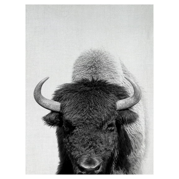 Masterpiece Art Gallery Roaming Wild Bison By Belle Maison Canvas Art Print 30" x 40"