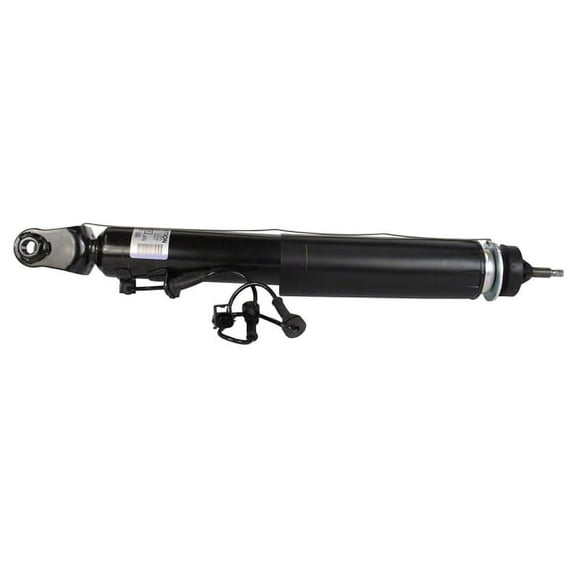 SHOCK ABSORBER ASY (P)