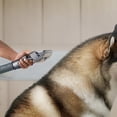 thumbnail image 3 of Aspiradoras verticales Dyson Groom Tool, 3 of 4
