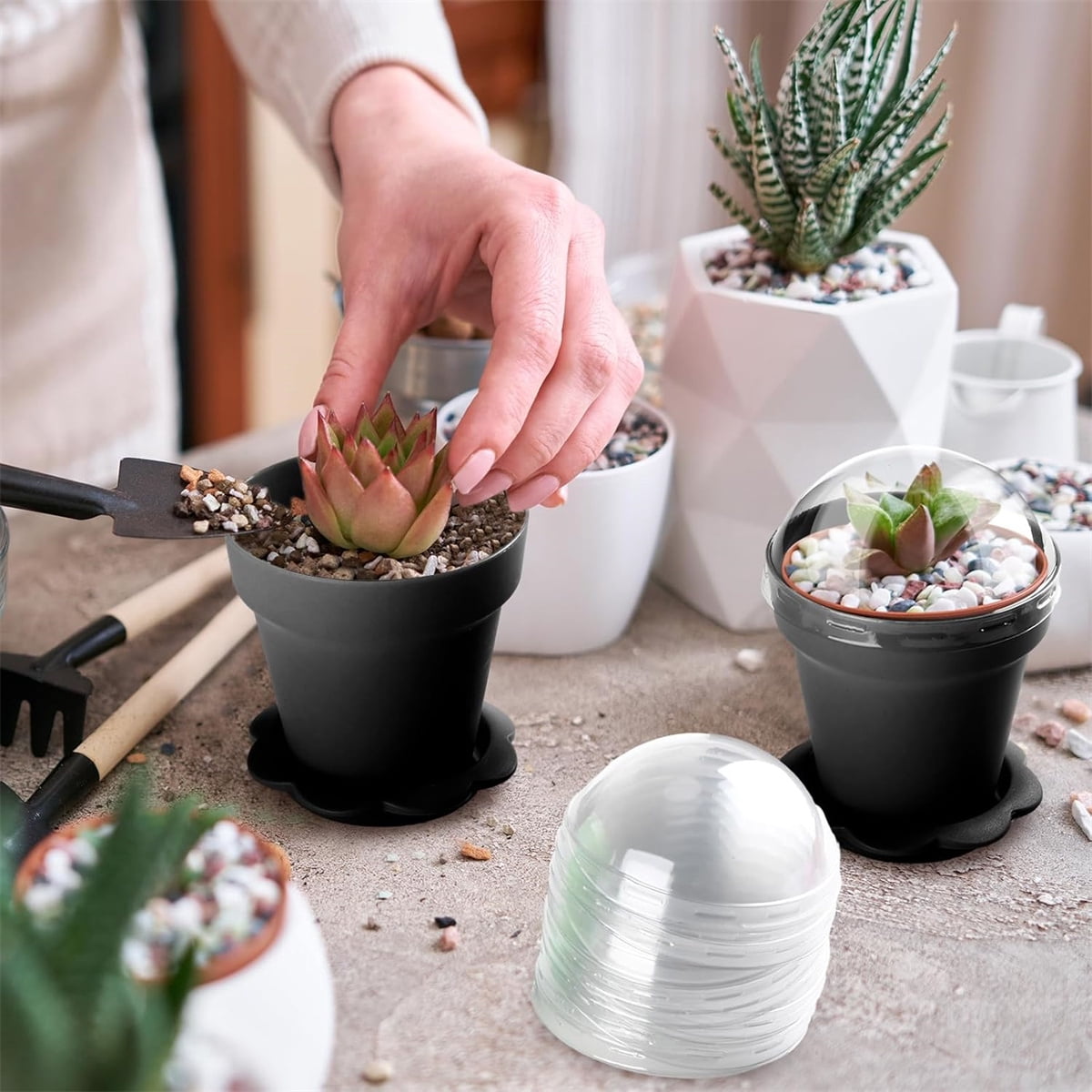 GIXUSIL 20 Pack Mini Flower Dessert Parfait Pots Cups with Lid and Bottom Tray, Plastic Cake Plant Nursery Pots for Succulent, Vegetable or Use as Dessert Containers (3 inch, Black)