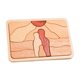 thumbnail image 1 of Rompecabezas de dibujos animados en 3D para niños, bloques de rompecabezas que desarrollan habilidades cognitivas y motoras. Atardecer, 1 of 8