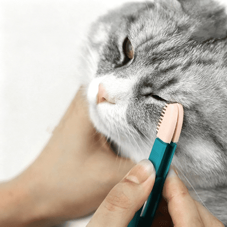 ACDANC Cat Grooming Brush-Pet Eye and Acne Cleaner,Tear Stain Remover Comb for Small Dogs and Cats