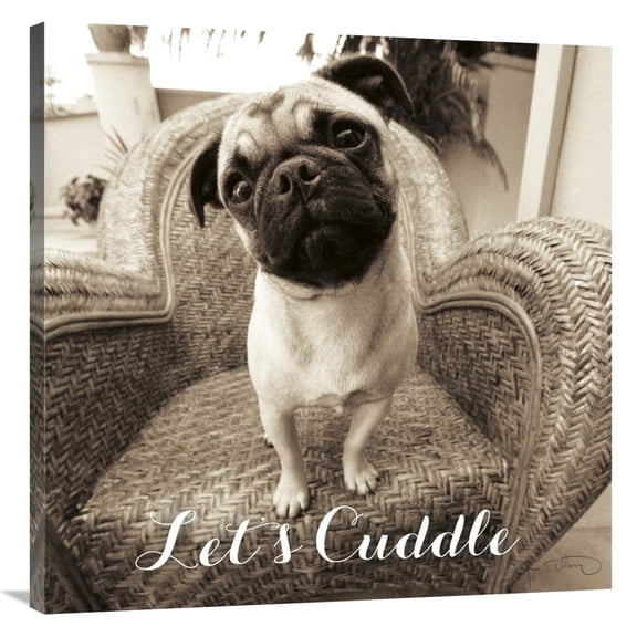 Global Gallery's 'Wonder Lets Cuddle Sq Script' By Jim Dratfield Stretched Canvas Wall Art