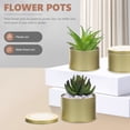 thumbnail image 4 of unbranded 6Ud Maceteros De Metal Dorado Con Tapa Para Plantas De Interior Y Exterior Decorativos, 4 of 6