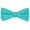 Aqua, variant on Boy's Solid Silky Bow Tie