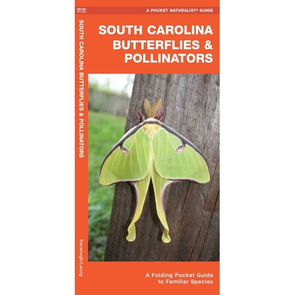 South Carolina Butterflies & Pollinators : A Folding Pocket Guide to Familiar Species (Other)
