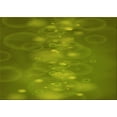 thumbnail image 1 of Ahgly Company Machine Washable Indoor Rectangle Transitional Pistachio Green Area Rugs, 8' x 12', 1 of 7