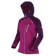 thumbnail image 4 of Regatta - Chaqueta impermeable modelo Birchdale para chica/mujer (Naranja Tigerlily, Naranja Cajún) Regatta UTRG3330_tigerlilyorangecajunorange, 4 of 4