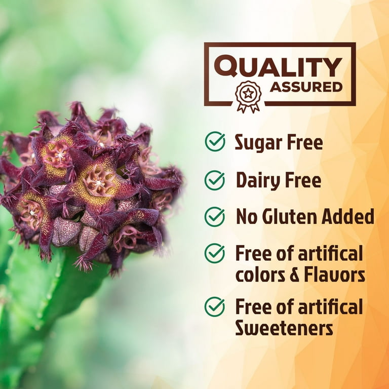 Nature's Nutrition Pure Caralluma Fimbriata Extract, 1200mg per Serving,  Vegan Capsules, 120 Count - Walmart.com