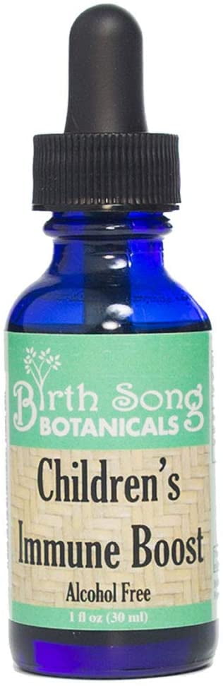 Birth Song Botanicals Organic Children's Immune System Booster Tincture, Herbal Echinacea Supplement, 1oz Bottle