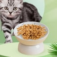 thumbnail image 5 of Raised Pet Feeder Cat Food Plate Water Drinking Bowl, Pet Bowl, Pet Feeding Bowl Food Container, Stable Elevated Cat Bowl Pets Supplies , Yellow, 5 of 7