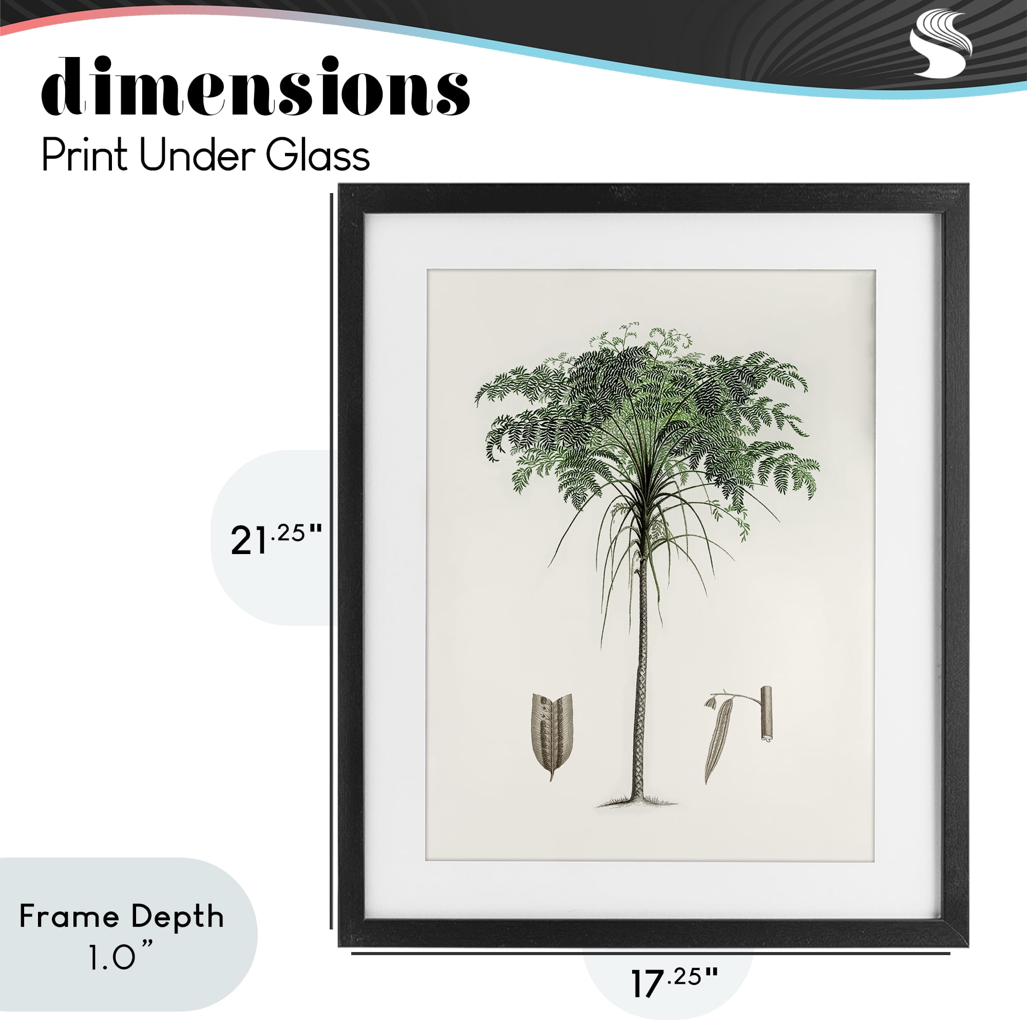 Stupell Industries Vintage Palm Leaves Black Framed Print Under Glass, design by Val Rhodes