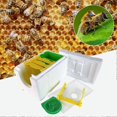 thumbnail image 5 of Simple Beekeeping Bee Queen Breeding Mating Nuc Harvest Pollination Hive Box, 5 of 5