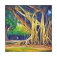 thumbnail image 1 of Banyan Tree Splendor - Canvas, 1 of 10