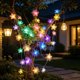 thumbnail image 5 of CaiYueKe Fiber Optic Flower String Lights, USB Powered LED Fairy Lights for Outdoor Wedding Party Decor, Waterproof Twinkle Lights for Garden Fence Balcony, Holiday Christmas Decoration Lights, 5 of 7