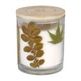 thumbnail image 1 of Botanical Light 11,2 oz Feuilles d'automne Bougie parfumée mélangée à la cire de soja, 1 of 3