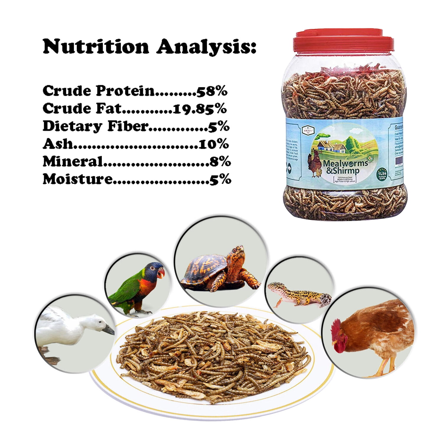 Amzey 2 Pack 1 LB Shrimp & Mealworms, 100% Non-GMO, Wild Bird Food, Chicken Feed, Fish Food, Reptiles Food, 2 lbs Total