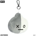 Aurora - Mini Multicolor BT21 - 4" VAN Keychain - Lovable Stuffed Doll ...