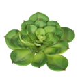 thumbnail image 1 of Vickerman FA170701 Vert Succulent Cactus Simple, 1 of 3