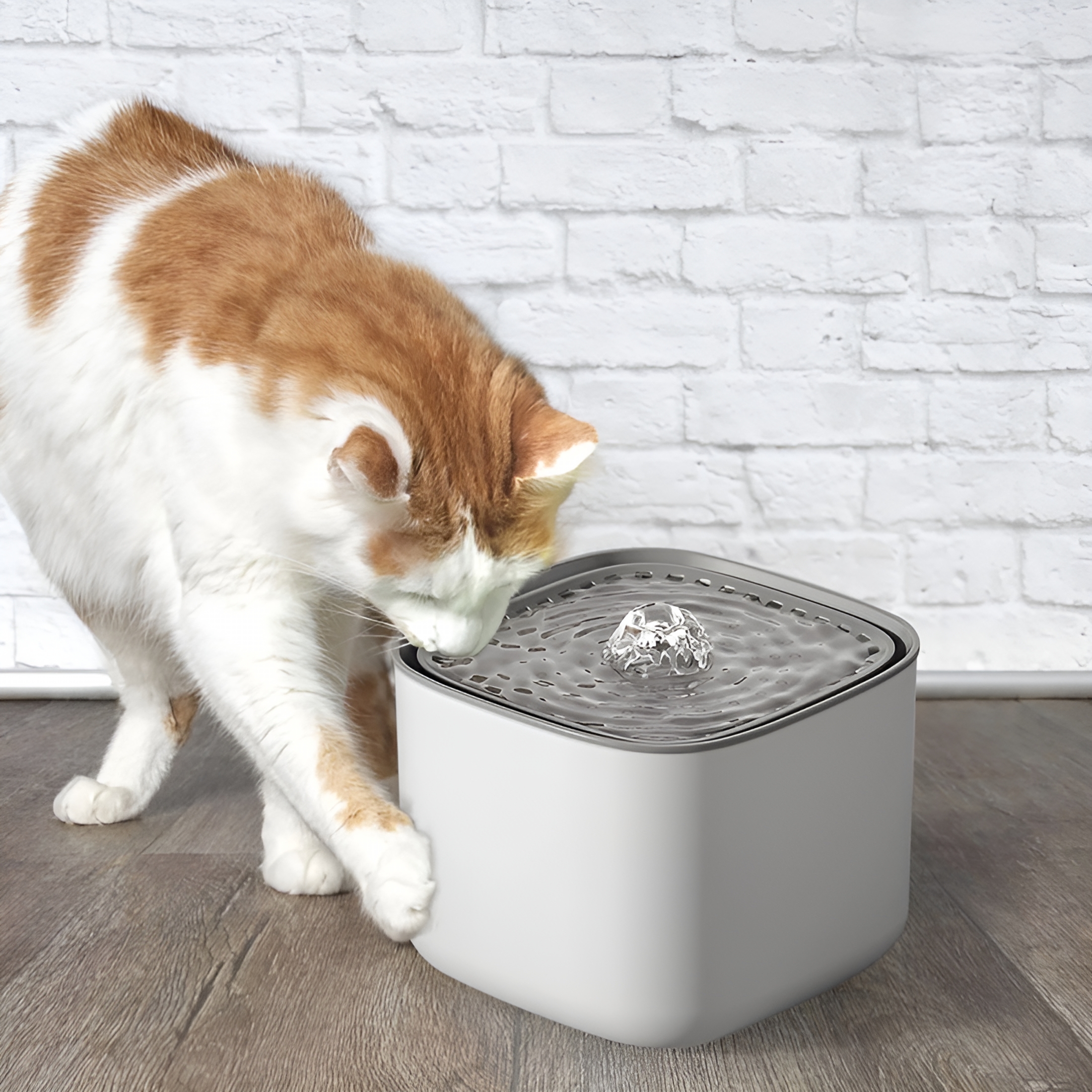 HIBIBUD Cat Water Fountain Wireless Pet Battery Operated Automatic Dog Dispenser for