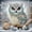 #A01-C, variant on Special Shape Diamond Art Kits for Adults Beginners, 5D Diamond Painting Kits for Bird,DIY Gem Art Crystal Rhinestones Painting Kit for Adults Home Wall Decor 12 X 12inch