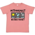 thumbnail image 3 of Inktastic Meteorologist Weather Prophet Boys or Girls Toddler T-Shirt, 3 of 5