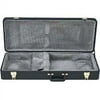 Hardshell Mandolin Case - Celebrity Series