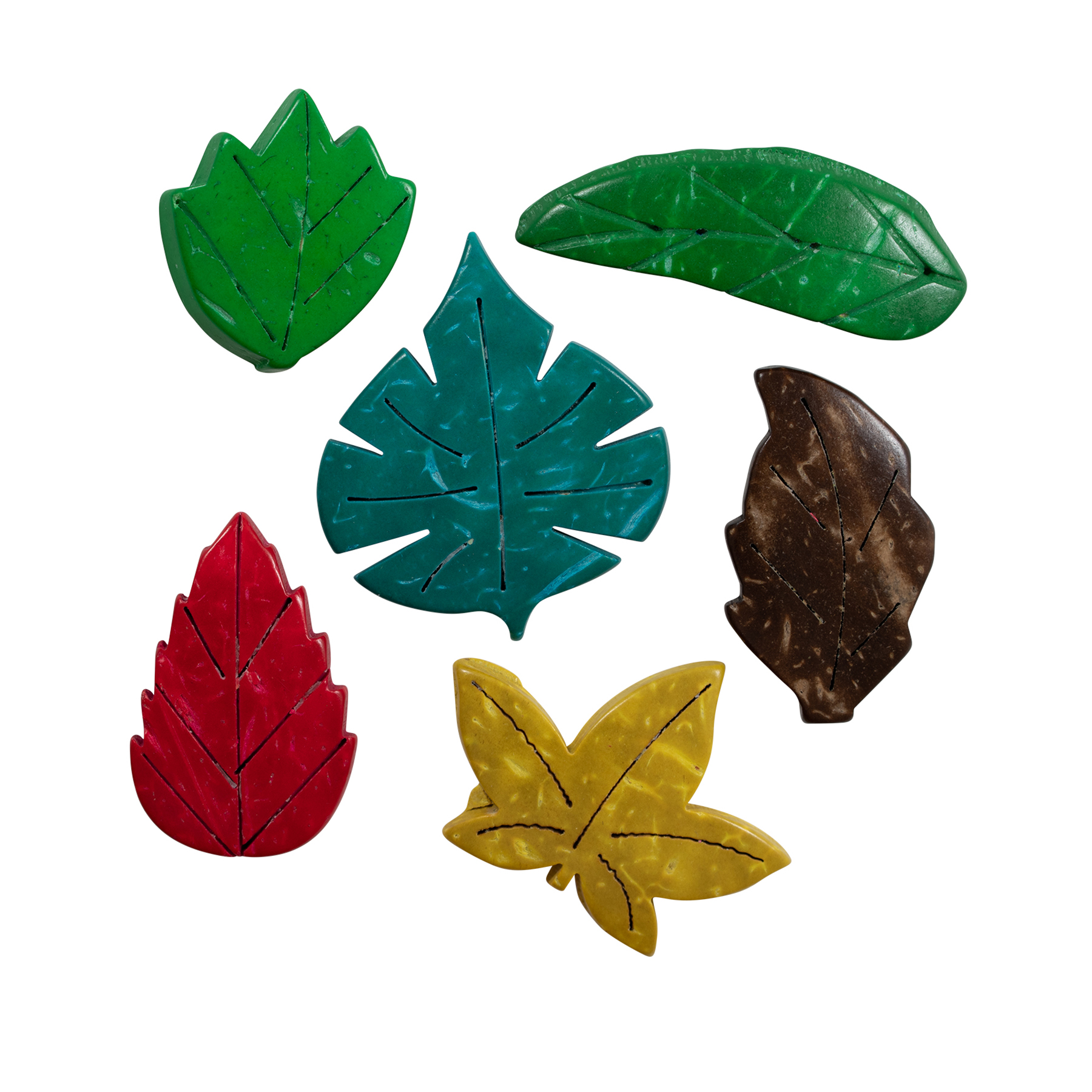READY 2 LEARN Coconut Leaves, Set of 50