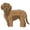 MultiColor, variant on SignMission 6 in. Goldendoodle Decal - Dog Lover Super Cute Sticker - Pack of 2