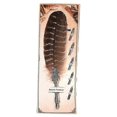 thumbnail image 1 of Vintage Feather Quill Pen for Calligraphy & Decor (04#), 1 of 3