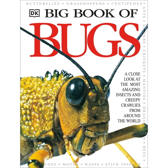 Pre-Owned Big Book of Bugs (Hardcover) 0789465205 9780789465207