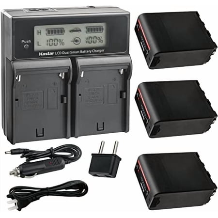 Kastar 3-Pack NP-F990EXP Battery and CH04 Dual Fast Charger Compatible with Sony GV-A500 GV-A500E GV-A700 GV-D200 GV-D300 GV-D700 GV-D800 GV-D900 GV-HD700E HDR-AX2000 HDR-FX1 HDR-FX1000 Camera