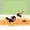 2PCS, variant on Interactive Cat Bird Toy with Realistic Chirping Sound Catnip and Feathers Simulation Squeaky Bird Toy for Indoor Cats Kittens Fun Exercise and Playtime Style A