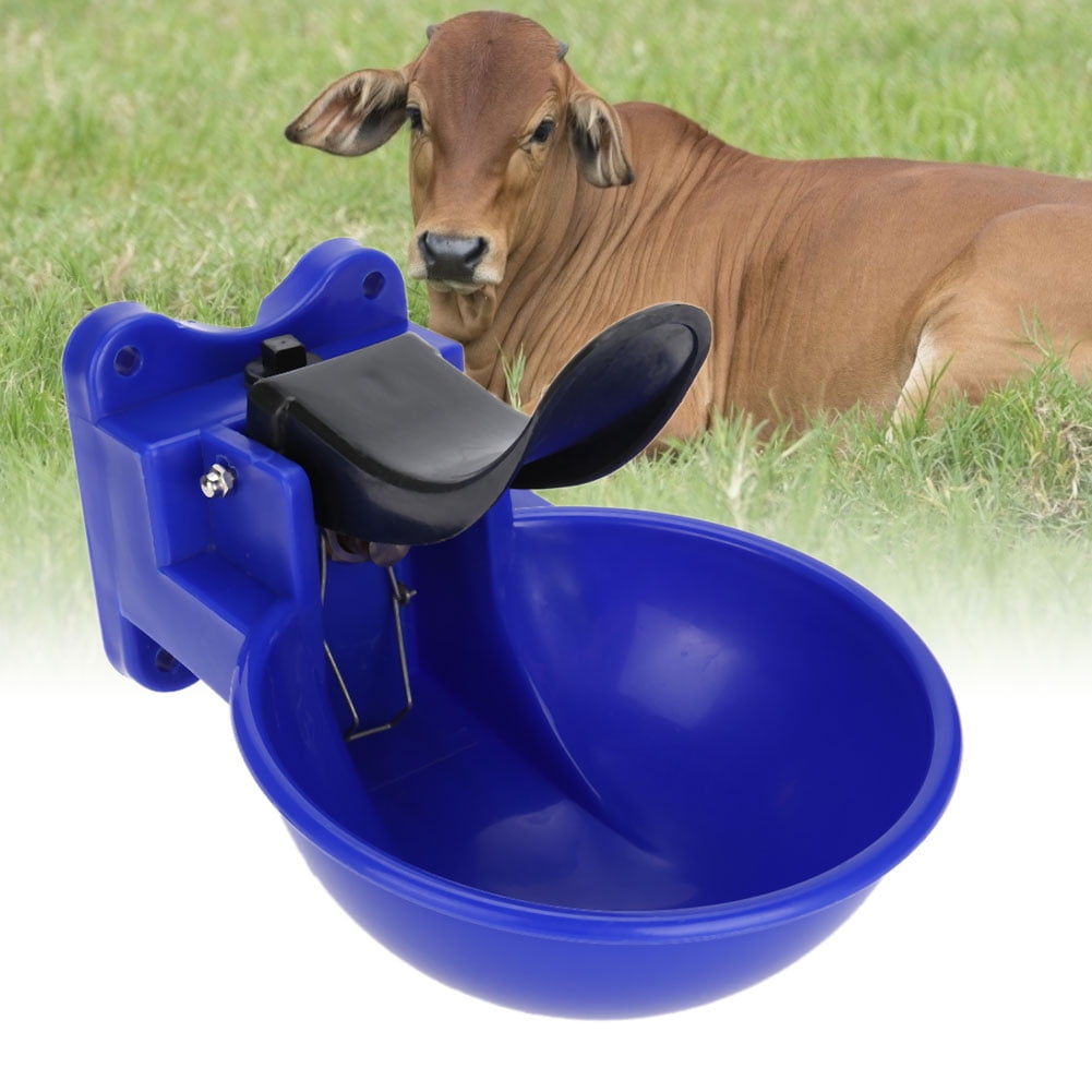 automatic water feeder for cows