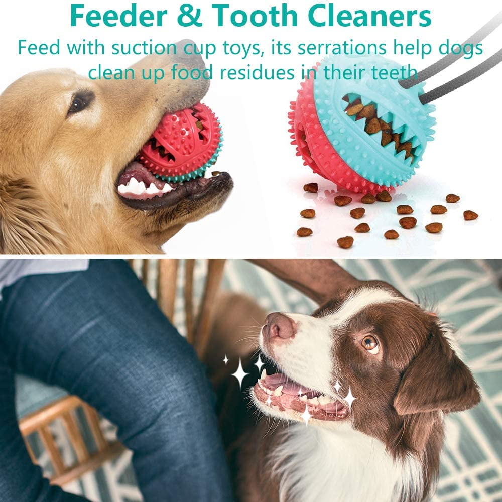 Suction Cup Chew Toys for Dog-Tug of War Dog Toy for Aggressive-Teeth Training  Toys for Small Dogs-Dental Health and IQ-Relieve Pet Anxiety 