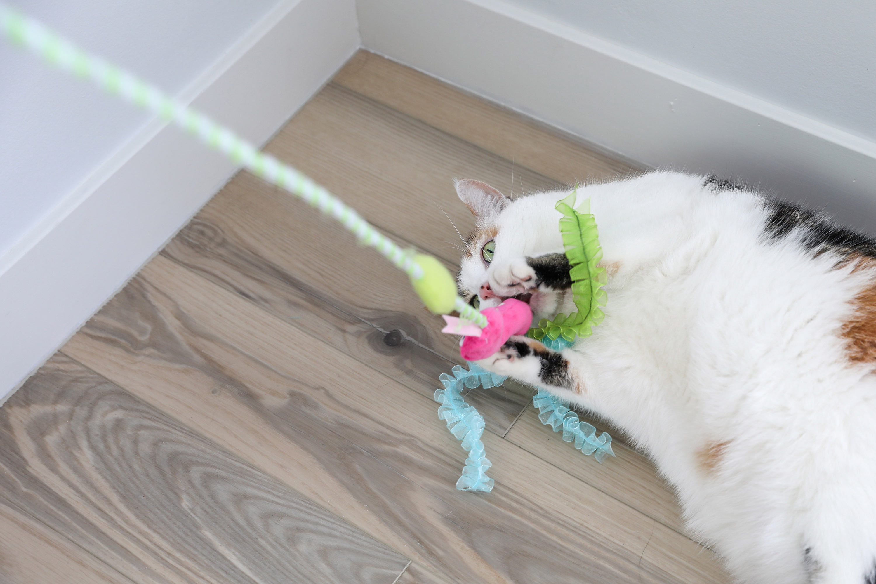 Quirky Kitty Glowing Forest Glow Snake Wand Night Play Catnip Cat Toy, Pack of 1, Glow Snake Wand