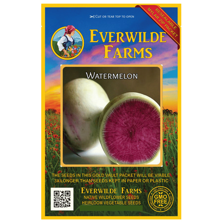 Everwilde Farms - 300 Watermelon Radish Seeds - Gold Vault Jumbo Bulk Seed (Best Watermelon Seeds In India)