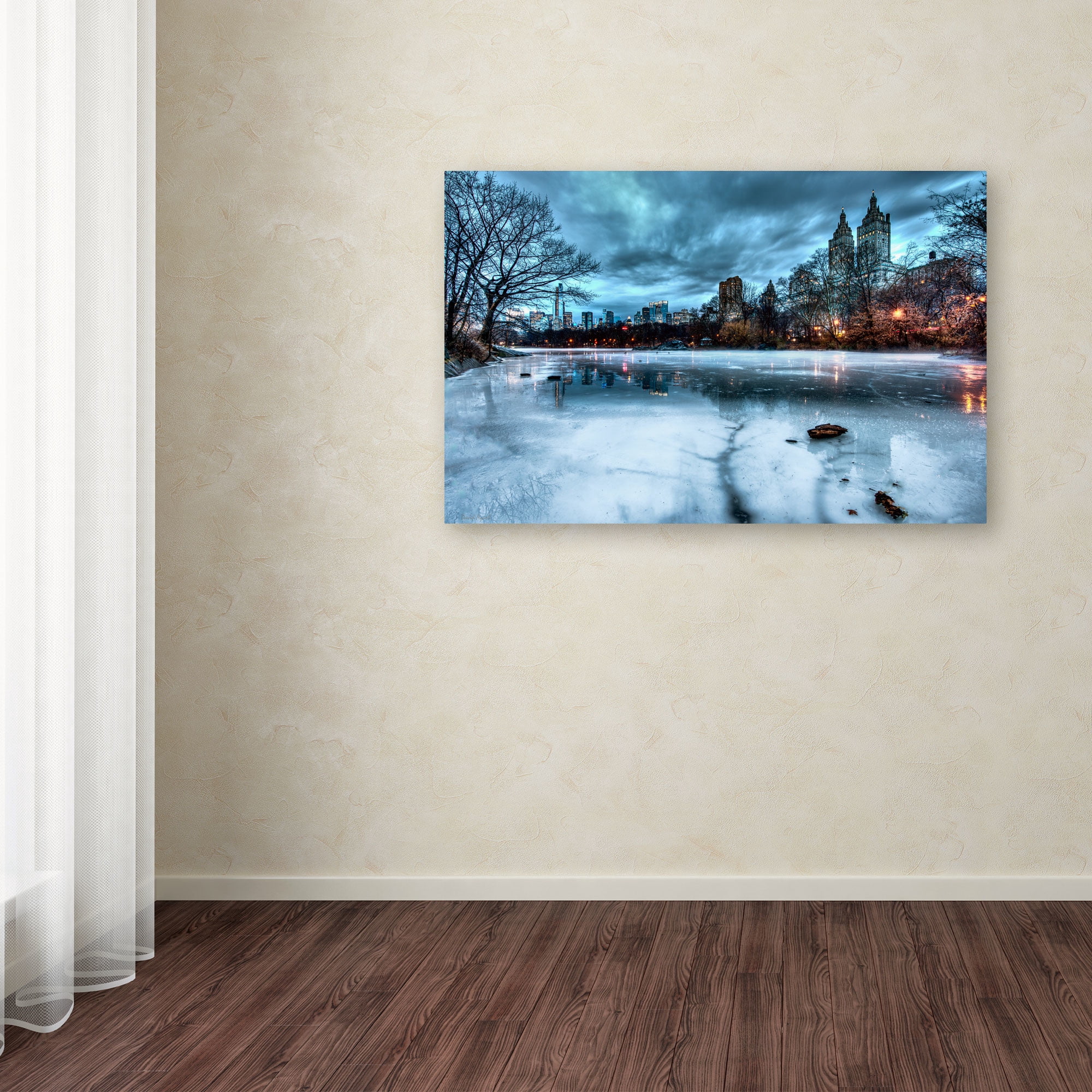 Trademark Fine Art "Frozen Central Park Lake II" Canvas Art by David Ayash