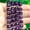 Amethyst, variant on HOOUN 8x6mm Natural Gemstone Faceted Loose Beads For Jewelry Making DIY Bracelet 7.5''-Amethyst-7.5 inshes-20pcs