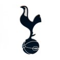 thumbnail image 1 of Tottenham Hotspur FC - Imán de Nevera Diseño 3D (Marino, Blanco), 1 of 2