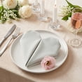 thumbnail image 3 of 12 Pack Cloth Napkins, Washable and Reusable Table Dinner Napkins for Restaurant, Weddings, Events, and Parties Silver Gray 17x17inch, 3 of 6