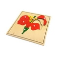 thumbnail image 2 of IFIT Montessori 3 Botany Puzzles with Cabinet, Montessori Toy Botany Material, 2 of 4