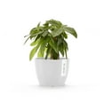 thumbnail image 4 of Ecopots Stockholm Mini Durable Modern Round Indoor/Outdoor Recycled Based Composite Flower Pot Planter, Pure White, 6", 4 of 4