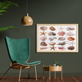thumbnail image 2 of Seashells Wall Art with Frame, Seashell Pattern Scallop Nautilus Mollusk Summer Holiday Destinations Marine, Printed Fabric Poster for Bathroom Living Room, 35" x 23", Multicolor, by Ambesonne, 2 of 2