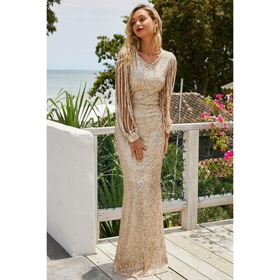 Sequin Fringe Sleeve Maxi Dress