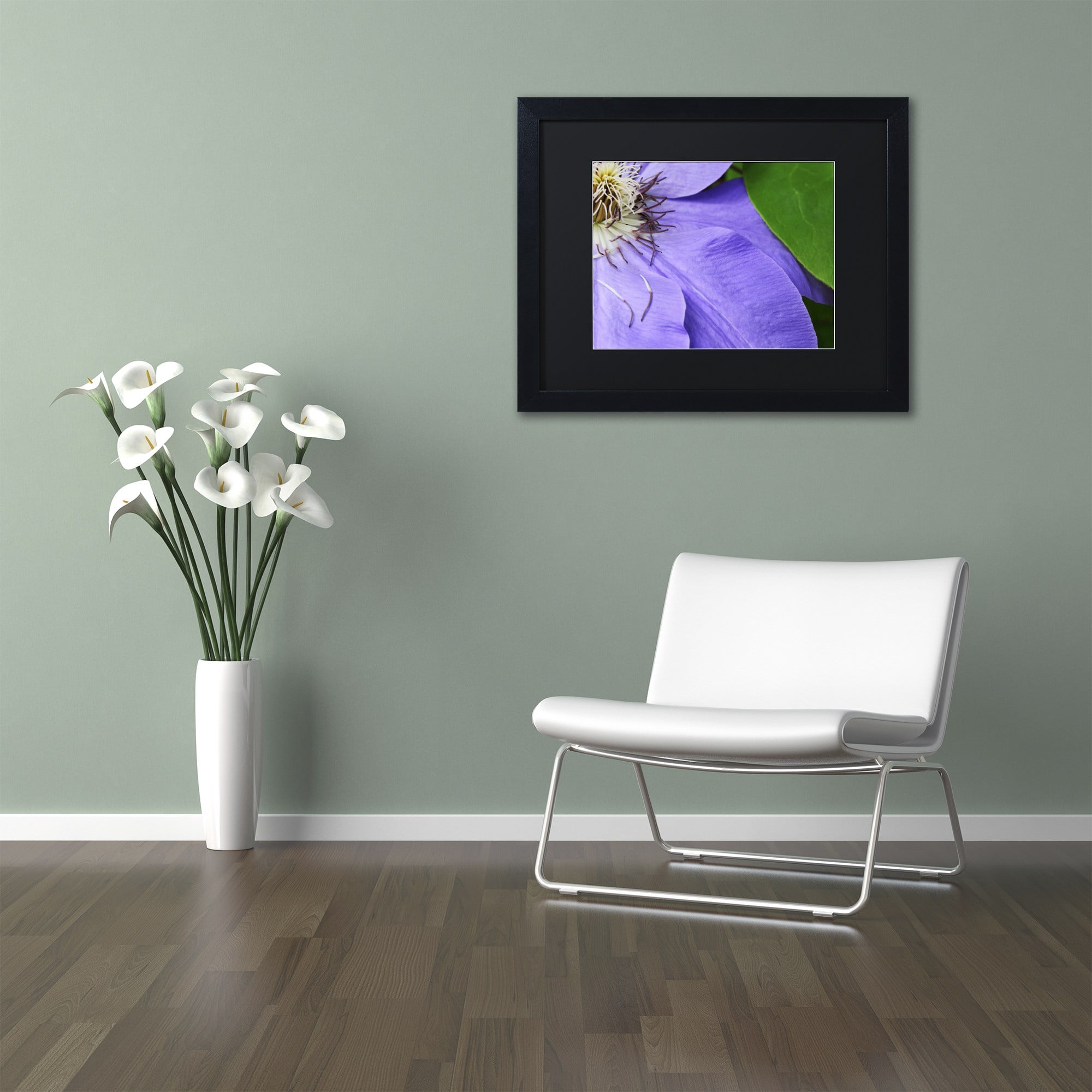 Trademark Fine Art "Clematis Abstract" Canvas Art by Kurt Shaffer Black Matte, Black Frame