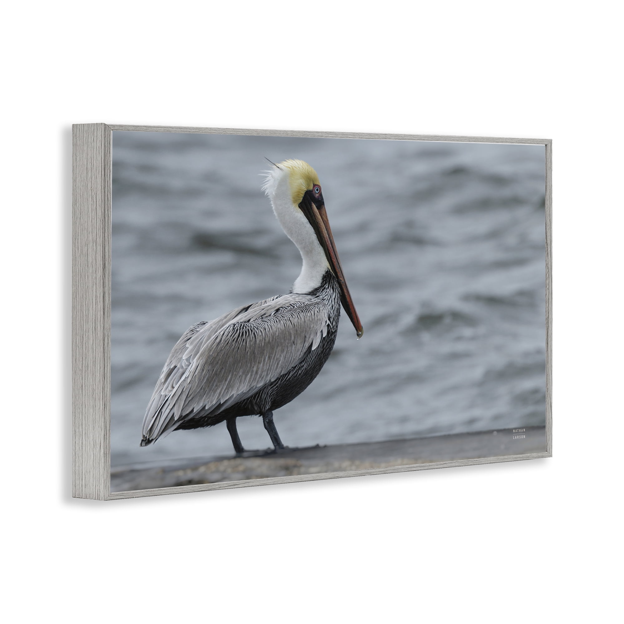 Stupell Industries Pelican Watch Photography Gray Framed Giclee Art, design by Nathan Larson