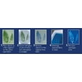 thumbnail image 3 of Cyanotype Set, 3 of 20