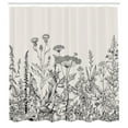 thumbnail image 3 of Ambesonne Flower Shower Curtain, Wildflower Botanical Country, 69"Wx70"L, Pale Eggshell Dark Grey, 3 of 5