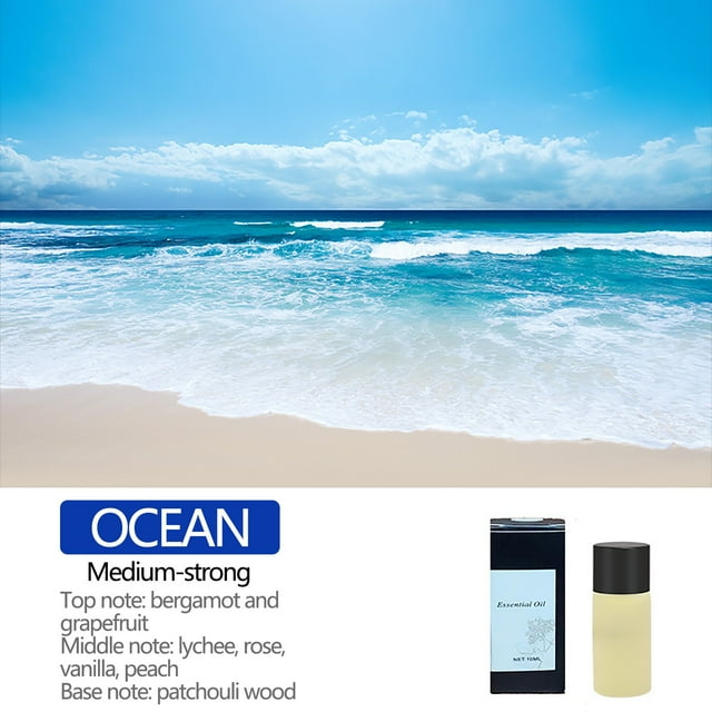 Vadktai Essential Oil , Assainisseur d'Air pour Voiture, Diffuseur de Parfum Bouteille Aromathérapie Fragrance